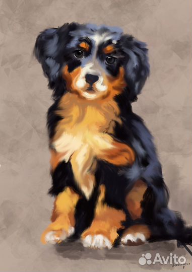 Создание иллюстраций, рисунков