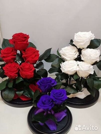 Подарок на новый год / Роза в колбе