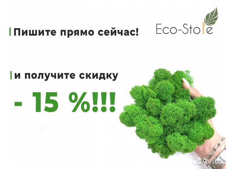 Логотип из стабилизированного мха