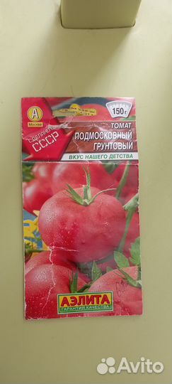 Рассада помидор