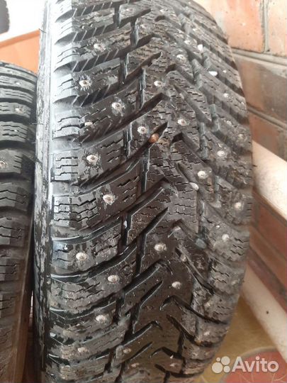 Nokian Tyres Hakkapeliitta 8 175/65 R14