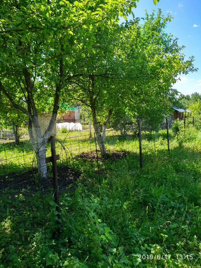 Участок 8 сот. (СНТ, ДНП)