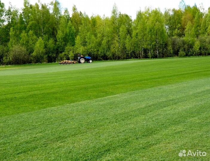 Рулонный газон