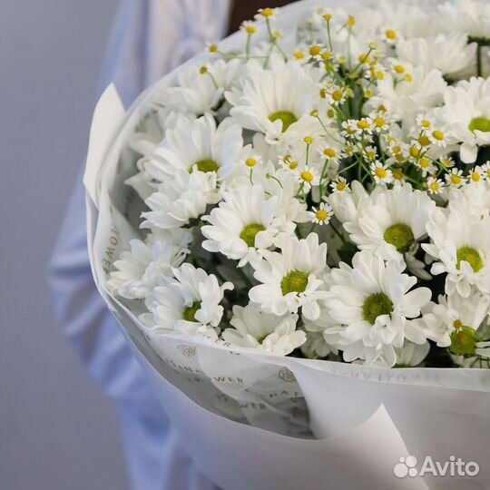 Ромашковый шарм М