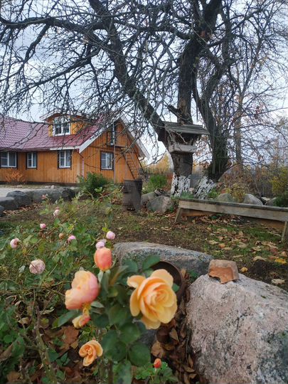 Коттедж 44 м² на участке 20 сот.