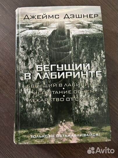 Книга Бегущий в лабиринте