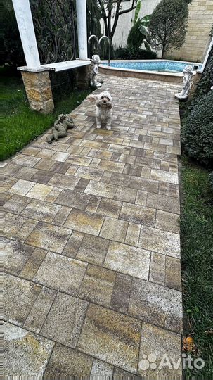 Тротуарная плитка вибропресс заказ от 120 м2