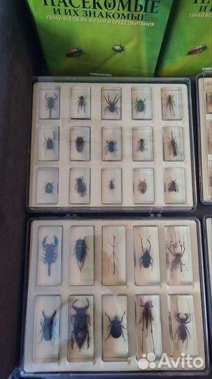 Самая первая коллекция 