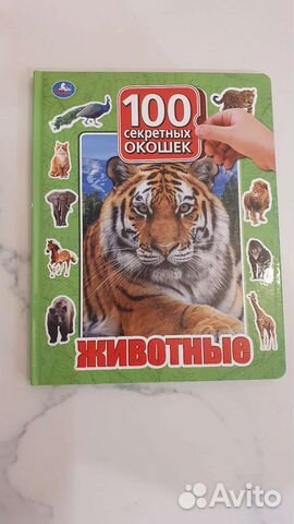 Новая книга с окошками и большая книга для малыша