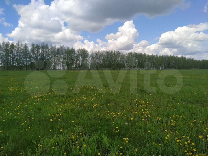 Участок 26,6 га (СНТ, ДНП)