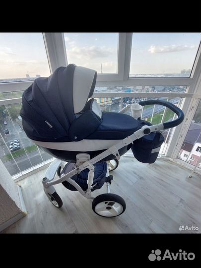 Коляска adamex monte carbon 2в1