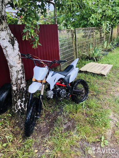 Irbis ttr 125