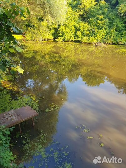 Сдается беседка на берегу речки