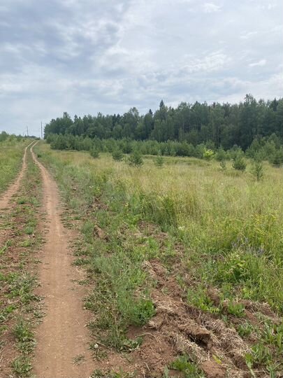 Участок 82 сот. (СНТ, ДНП)