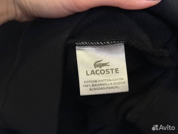 Свитшот Lacoste Мужской Оригинал-качество