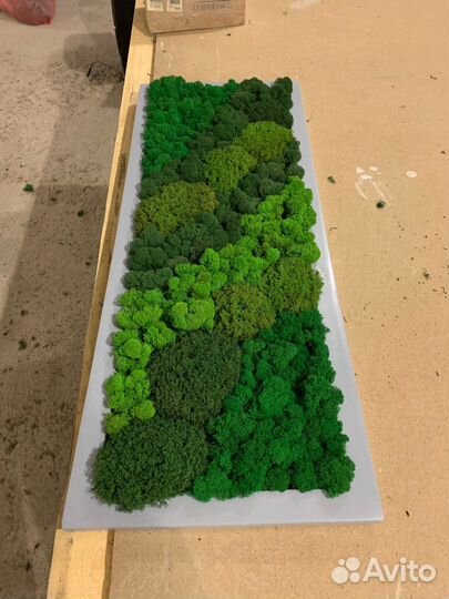 Панно из мха