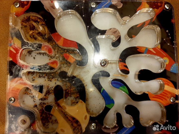 Формикарий б/у без муравьев