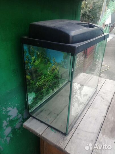 Аквариум