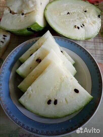 Арбузы, семена