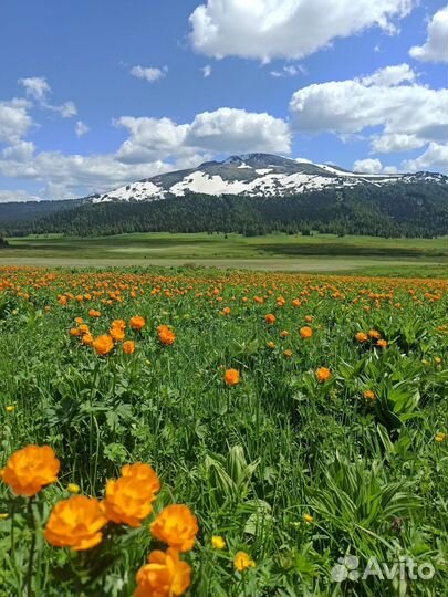 Отдых на Красной горе