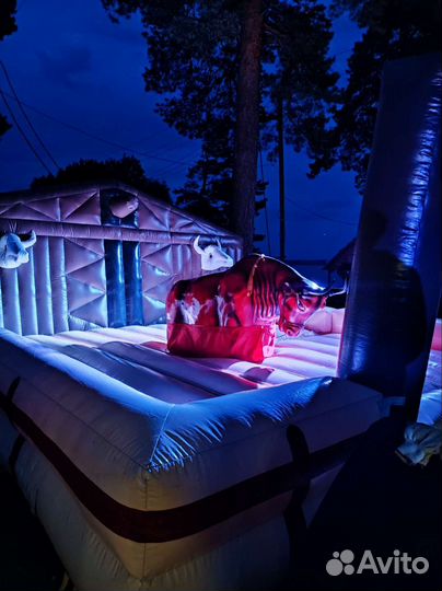 Бык родео прокат аренда