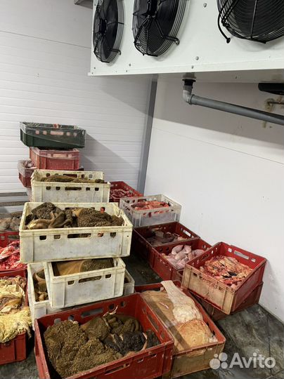 Собачий корм