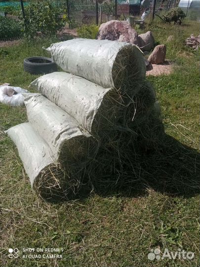 Луговое сено в мешках