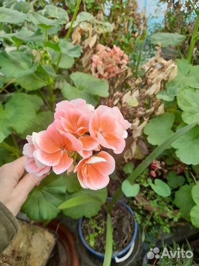 Предметы интерьера