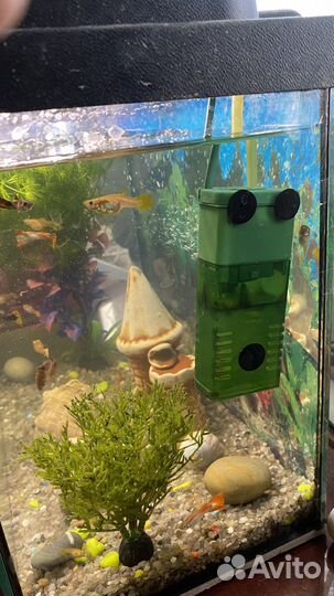 Аквариум и рыбки