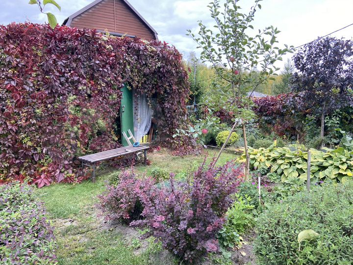 Дом 50 м² на участке 12 сот.