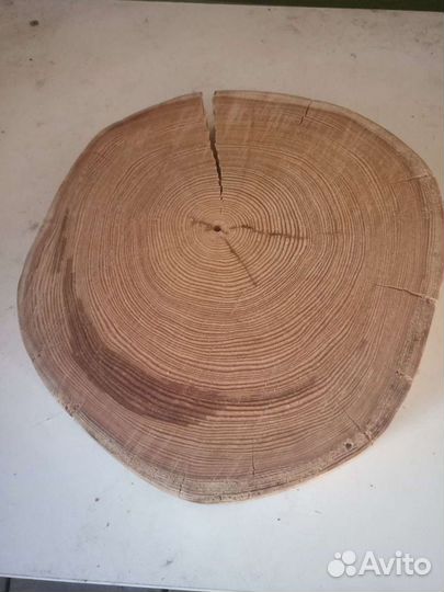 Спилы дерева