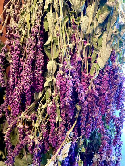 Веники для бани можжевеловые с душистыми травами