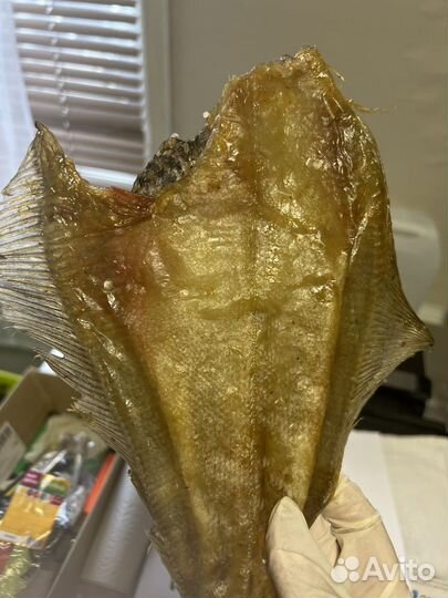 Камбала-ерш жирная Мурманская от 1кг