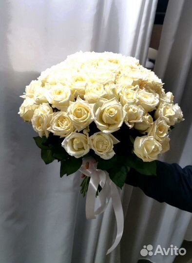 Букет роз. Розы 101 шт