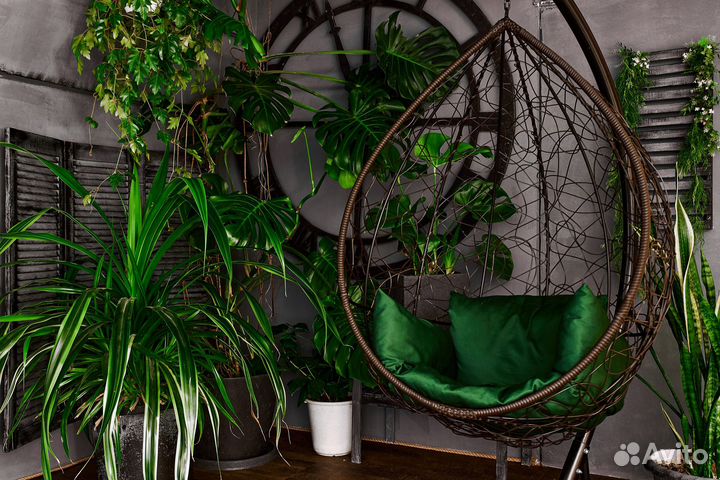 Аренда зала Avangard