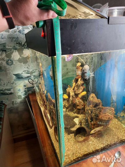 Аквариум