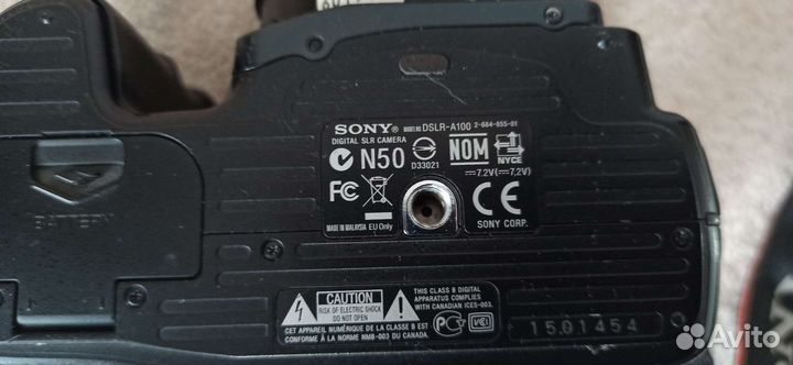 Sony A100