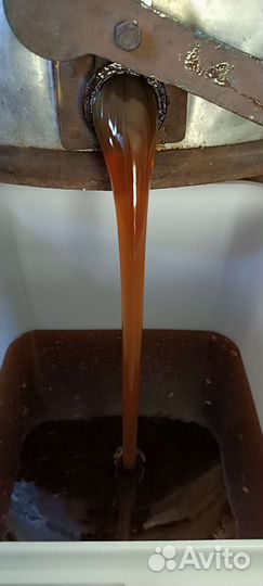 Мед разнотравие с гречкой