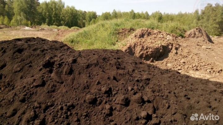 Плодородная земля