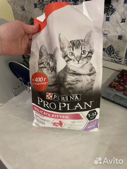 Корм для котенка Pro Plan 1,9 кг