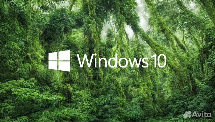 Ключ виндовс 10/11 про хоум Windows 10/11 PRO home