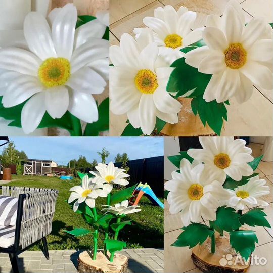 Ростовые цветы