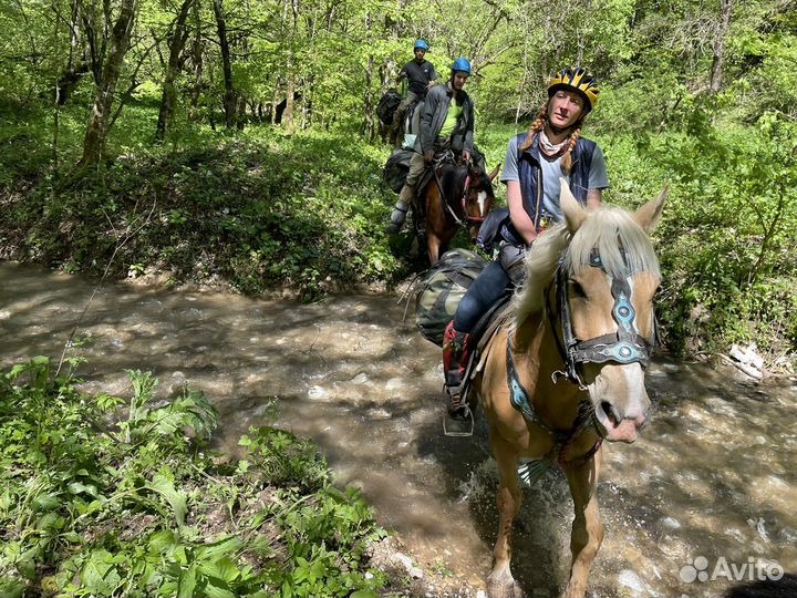 Конные прогулки, походы