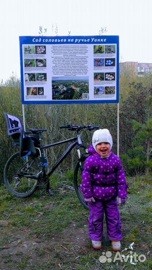 Детское велокресло Thule Ridealong