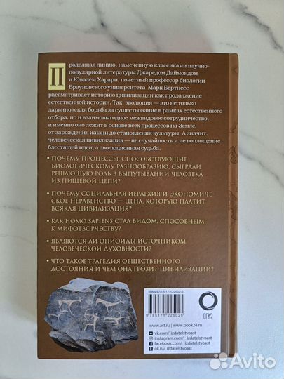 История цивилизации - Марк Бертнесс