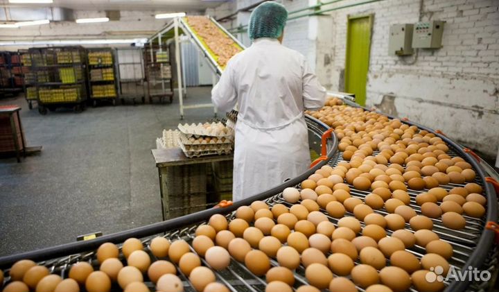 Упаковщики фасовщики