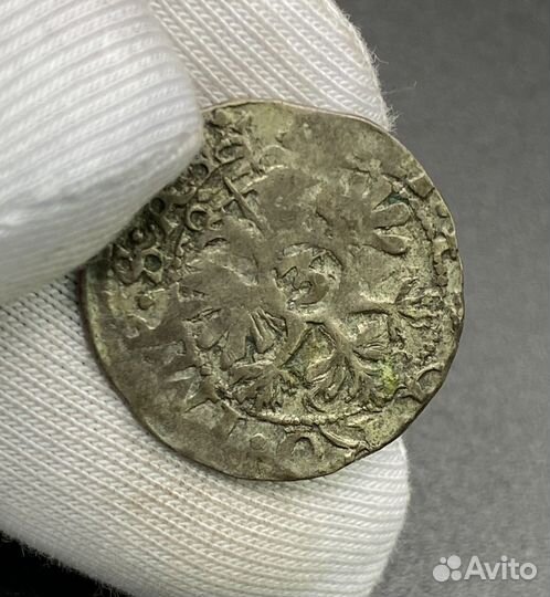 Монета. Речь Посполитая. 17 век