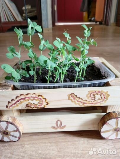 Декоративное кашпо из дерева