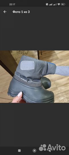 Сноутбутсы