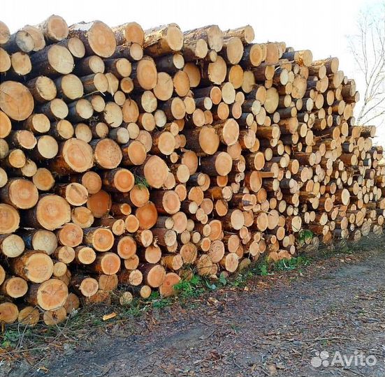 Лес кругляк